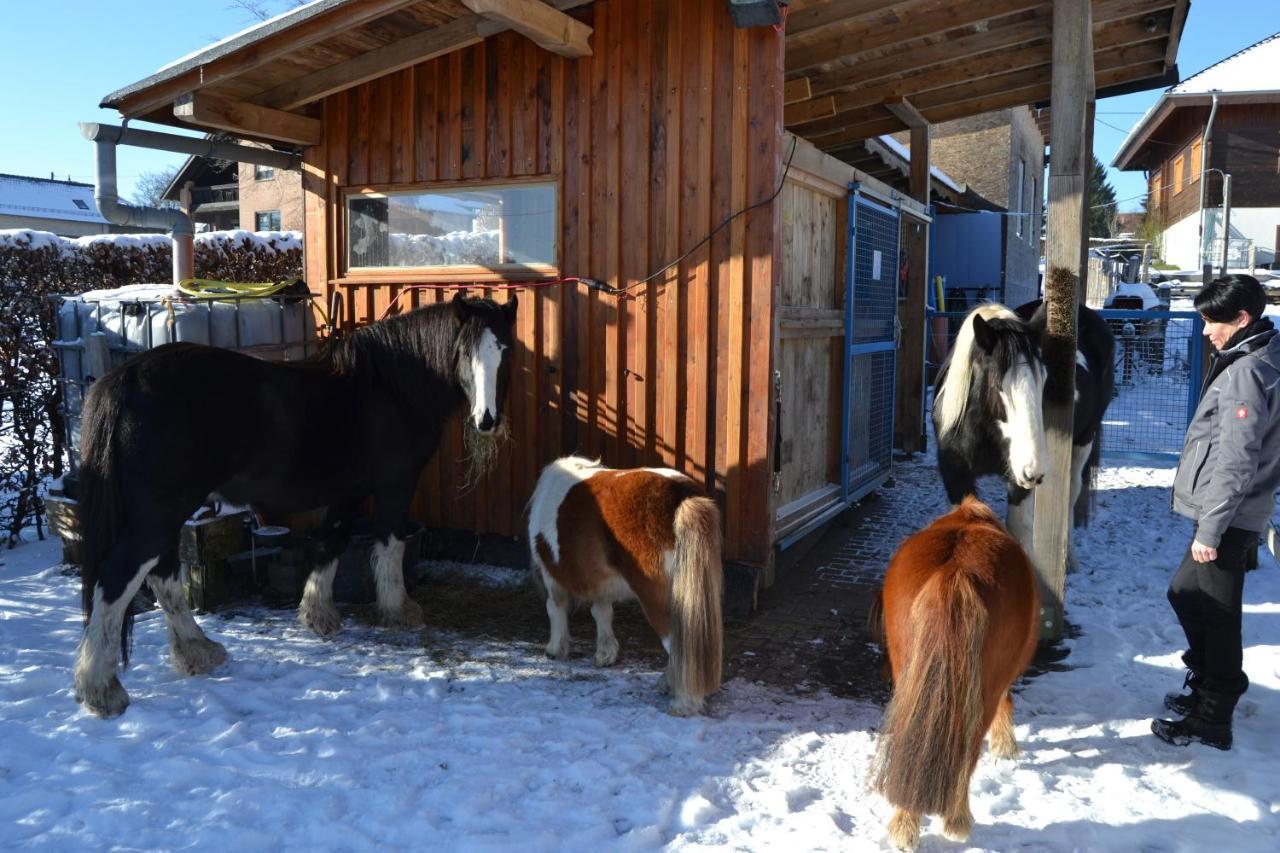 モンシャウFerien Bei Freunden Im Holzhausアパートメント エクステリア 写真